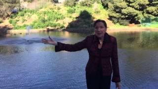 Sheila Sabine - Out and About - Overview of Montclair Park