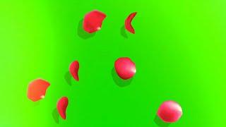 Rose petal Transitions green screen animation effects HD video | chroma key Rose animation effects