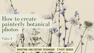 How to Create painterly botantical photographs.