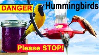 Hummingbirds Perish from Feeding Orioles DANGEROUS, Safe Ways Protective Cover & Hummingbird Feeder