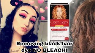 Color Oops on Black Hair || black to brown NO BLEACH!