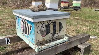 Package Installation and the Top Bar Hive Workshop 2022