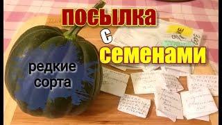 Семена на 2019/ Заказ в интернет-магазине/ Редкие сорта/ #theseeds #parcel #garden