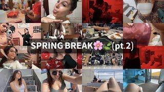 SPRING BREAK VLOG '23 (pt.2)