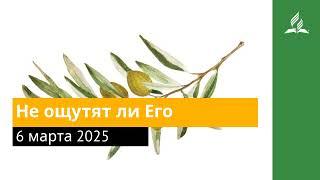 6 марта 2025. Не ощутят ли Его. Под сенью благодати | Адвентисты