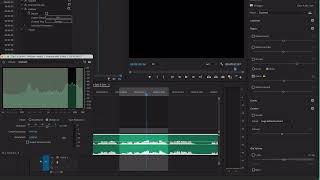 101 How to use the DeEss properly in Premiere Pro