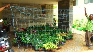 PLANT CLIMBING NET / PLANT SUPPORT NET FOR CREEPER PLANTS BY BIO BLOOMSning