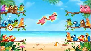 BIRD SORT COLOR PUZZLE  GAME HARD LEVELS