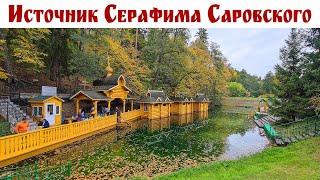 Самый сильный Святой Источник России -  преподобного Серафима Саровского