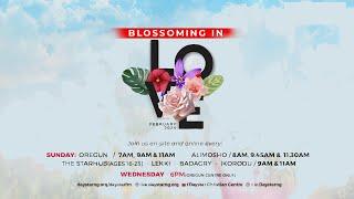 The Starhub Online Service | Blossoming By Love | 4th February 2024
