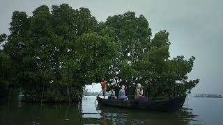 The Great Backwaters | Kerala - World's Greatest Place