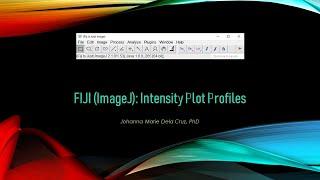 FIJI (ImageJ): Intensity Plot Profiles