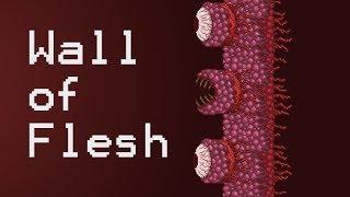 Terraria How To Defeat: Expert Wall of Flesh