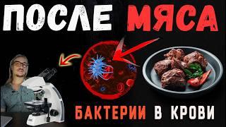 Шок! В крови от мяса легион бактерий