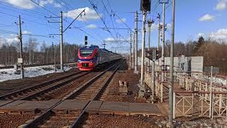 Скоростной поезд экспресс РЭКС Дубна-Москва пролетает платформу Шереметьевская