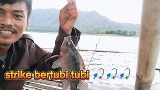 Mancing dengan bandul pengumpul ikan sangat jitu sampai ikan berkumpul di lapak || mancing jatiluhur