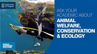 Ask Your Academic about Animal Welfare, Conservation, Ecology & Environmental MSc programmes