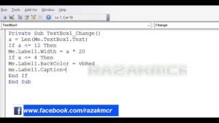 Label Width And Backcolor And Caption Change By Textbox Userform Excel VBA