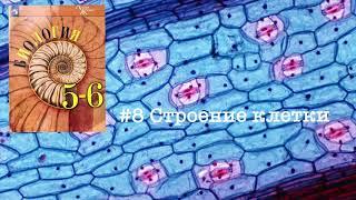 Биология 5-6 класс (Пасечник) аудио параграф 8 «Строение клетки»