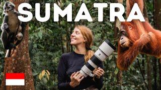 48h in the SUMATRAN JUNGLE, Bukit Lawang | ORANGUTAN, CAMPING AND RAFTING