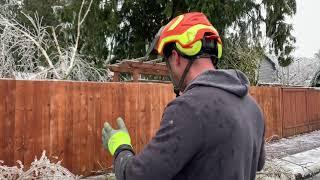 Do it yourself, clean up fallen trees