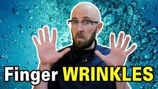 The Real Reason Fingers Wrinkle in Water