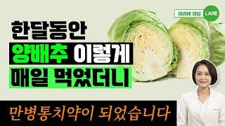 30일 동안 양배추를 이렇게 먹었더니 만병통치약이 되었습니다. 양배추 효능부작용[정라레]