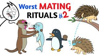 Worst Mating Rituals In Animal Kingdom - Part 2