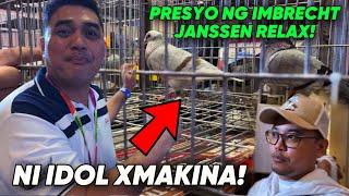 PRICE REVEAL NG JANSSEN RELAX NA KALAPATI SA PIGEON EXPO 2024 