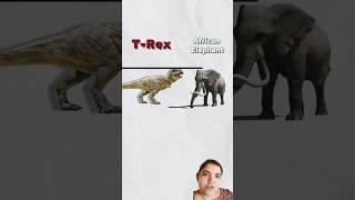 Interesting facts life of animal #motivation # #dinosaur #jurassicworld #trex #amazingfacts #new