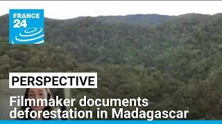 New film highlights deforestation in Madagascar • FRANCE 24 English