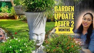 A New Garden Update After 2 Months || How To Make A Beautiful Garden || Beautiful Gardens In 2021