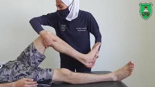 ROM Combined Hip and Knee Flexion and Extension