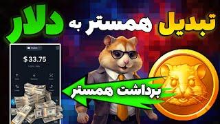 همستر رو به دلار تبدیل کردم و فروختم  | فروش همستر؟ کلاهبرداری جدید از همستر