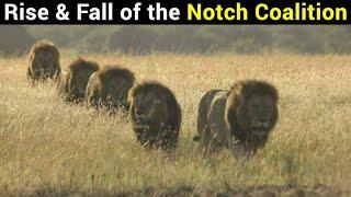 Notch & His Boys | Rise & Fall of the Famous Notch Coalition of Lions