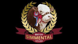 Sale of Simmental Bulls at Stirling on Monday 21st October '24 (approx 12 noon)