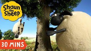 30 MIN Best Of Shaun the Sheep S02 Compilation