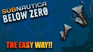 HOW to FIND Spiral Plant Clippings THE EASY WAY!! - Subnautica Below Zero