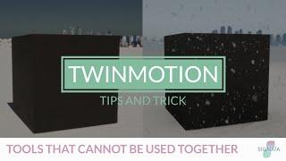 TWINMOTION 2022 TIPS & TRICK: TOOLS THAT CANNOT BE USED TOGETHER