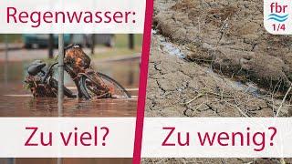 (Regen-)Wasser in der Stadt: Probleme durch Regenwasser in Zeiten des Klimawandels | 1/4 | fbr