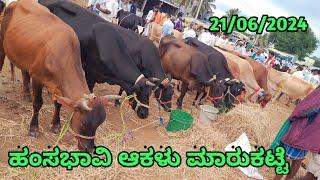 Haunsbhavi Cow Market ||| ಹಂಸಭಾವಿ ಆಕಳು ಮಾರುಕಟ್ಟೆ || Every Friday Morning ||