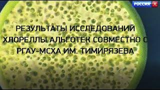 Совместные исследования с РГАУ-МСХА им. Тимирязева #технологияальготек #хлореллаальготек