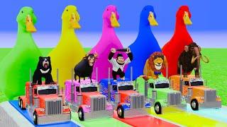 5 Giant Duck Cartoon, Cow, Monkey, Elephant, Lion, Paint Wild Animals Crossing Fountain Animal Game