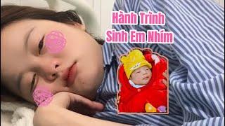 Hành Trình Đi Sinh Em Nhím Của Mình Diễn Ra NTN