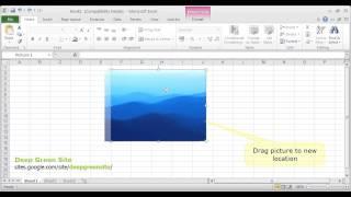 MS Excel 2010 / How to move picture on worksheet
