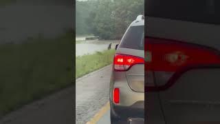 Illinois man swims across flooded median on Interstate 64