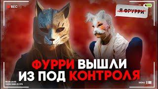 Дети Фурри Кусают Людей и Едят Кошачий Корм | Фурри, Квадробика