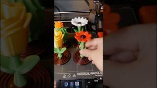 Springy Flower Collection | LIG Computer | 3D Printing Ideas