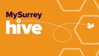 MySurrey Hive | Student Support | University of Surrey