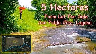 FARM LOT WITH RIVER FOR SALE  (Prop#142) 5 HECTARES, SAN PABLO CITY, LAGUNA